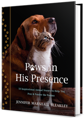 Dog and cat on a black book cover titled “Paws in His Presence”