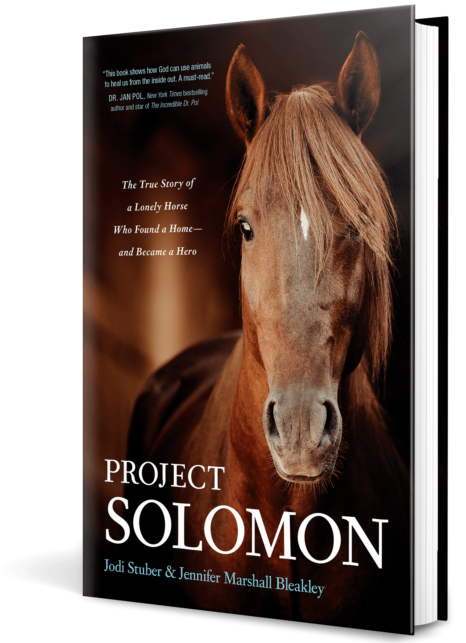 Book cover with a close-up horse portrait and the title “Project Solomon”