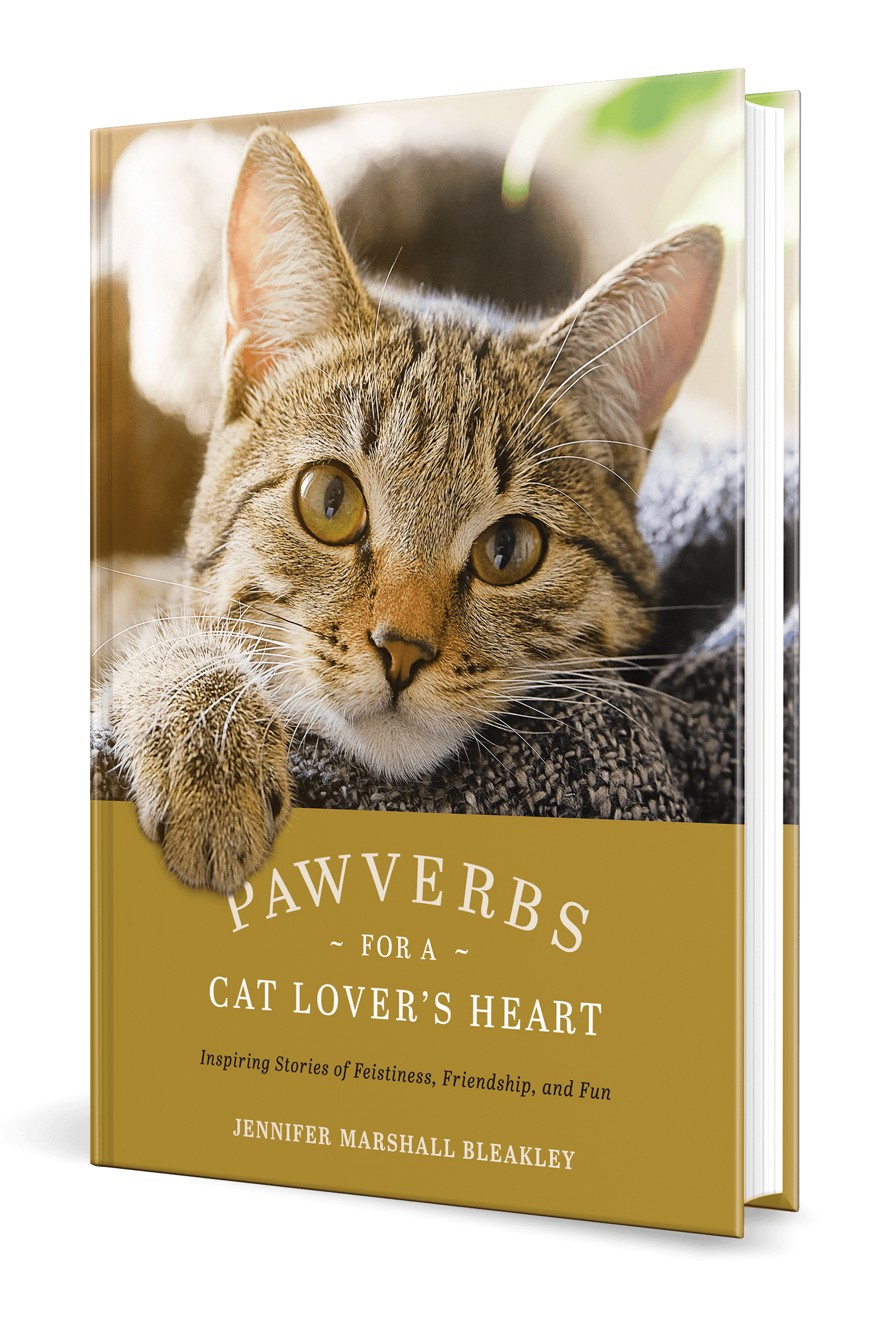 Book cover featuring a tabby cat in a snowy scene with gold and white text