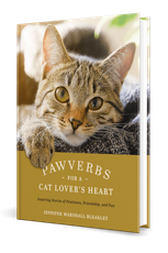 Cat cover: a tabby cat on a mustard-yellow book cover with the title “PAWWEBS” and smaller subtitle text