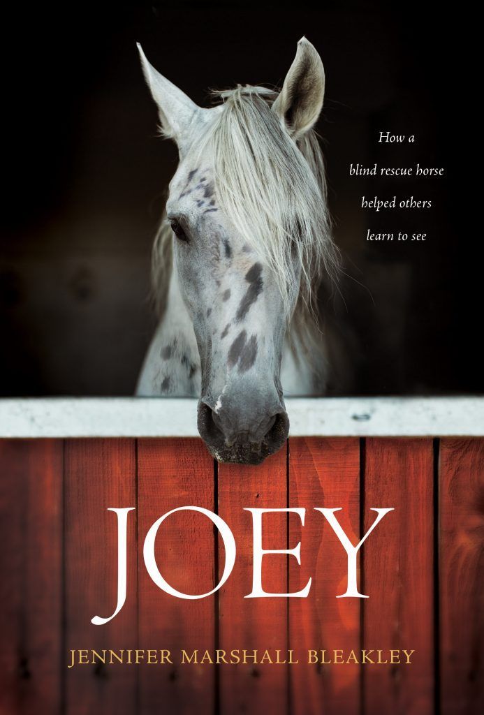 White horse peering over a red barn door with the title “Joey” on a book cover