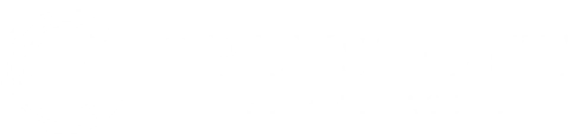 A white background with a few lines on it