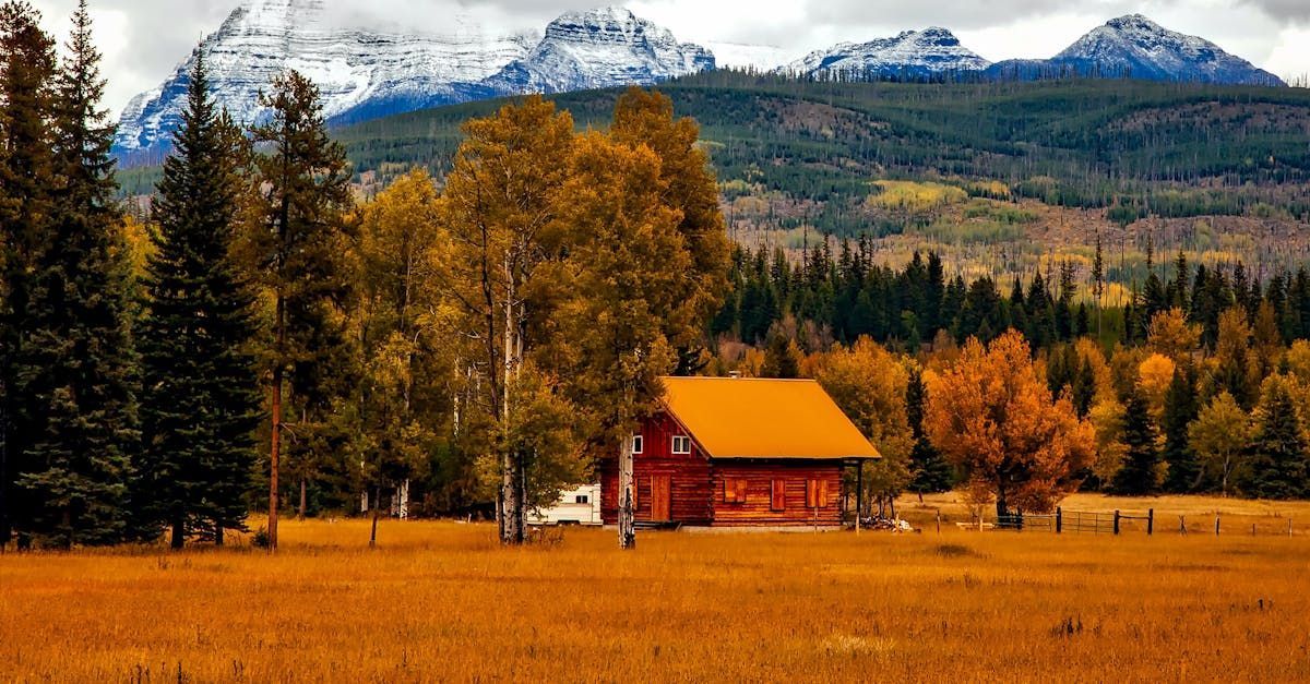 There is a cabin in the middle of a field with mountains in the background.