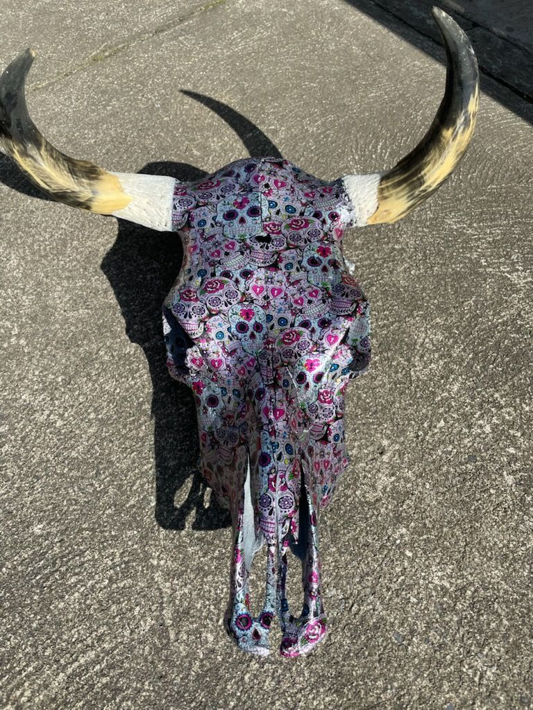 A decorative cow skull painted with a vibrant pink and blue skull pattern, featuring curved, natural-colored horns.
