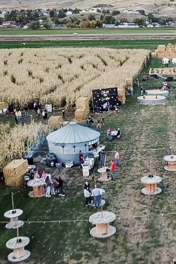 Fall concessions near me: corn, fried scones, and ice‑cream at corn maze near me