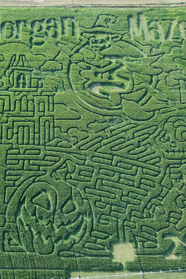 Aerial view of 18‑acre corn maze near me at The Morgan Maze in Morgan, Utah