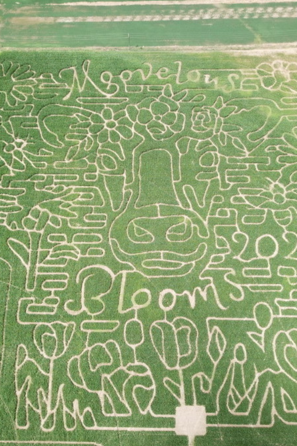 Aerial view of 18‑acre corn maze near me at The Morgan Maze in Morgan, Utah
