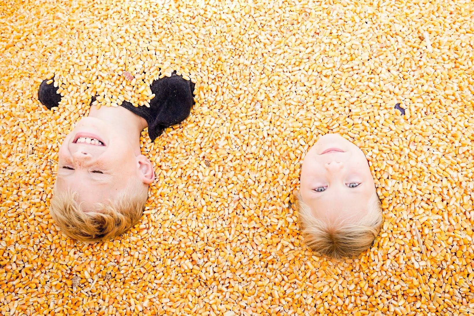 Child exploring straw maze and corn pit near me at fall farm activities Utah