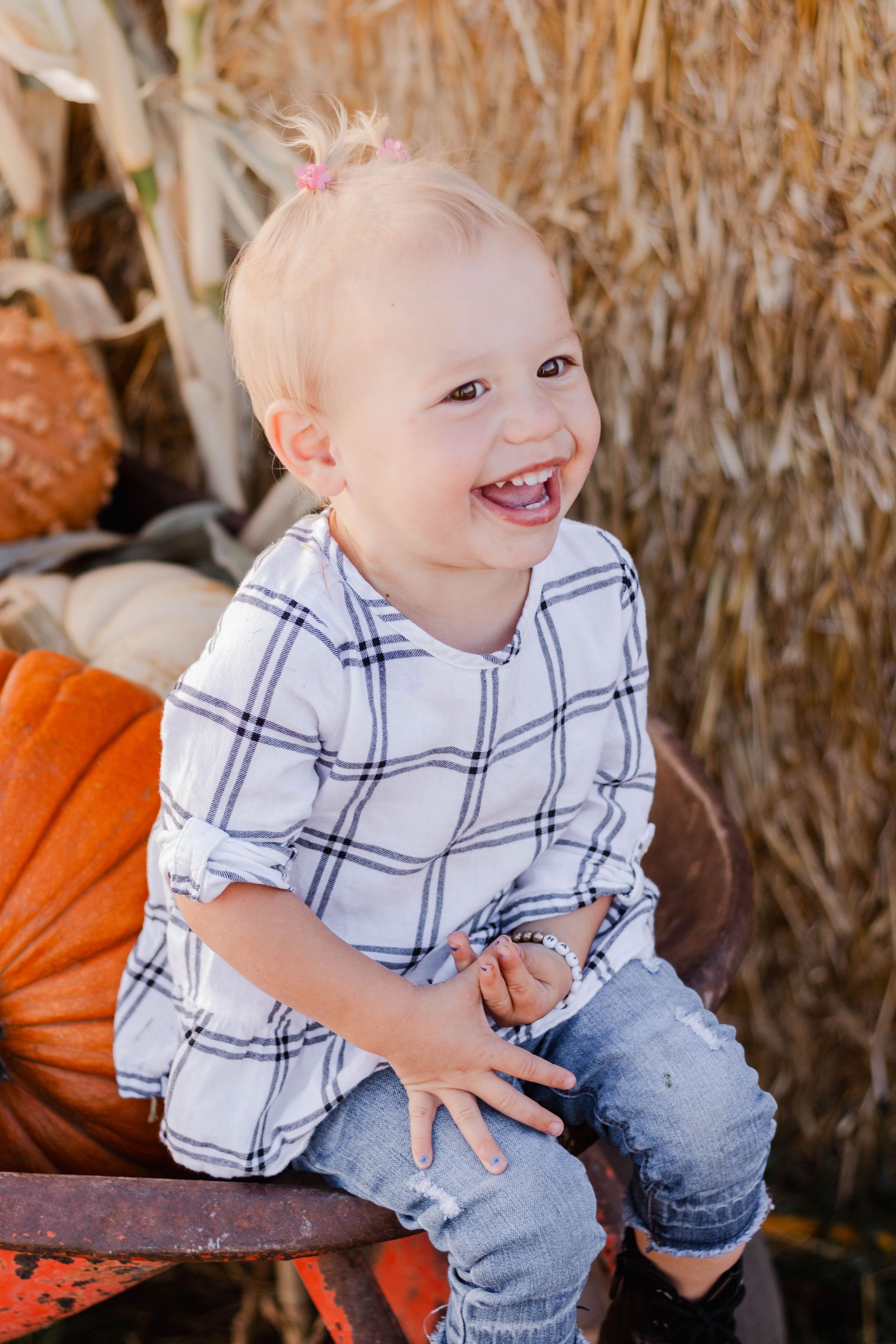 You‑pick pumpkin patch and corn maze near me in Morgan Utah fall outing