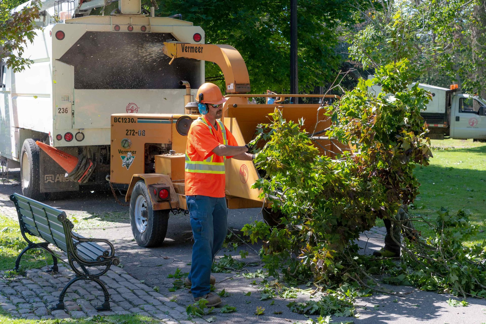 Country Club Tree Service