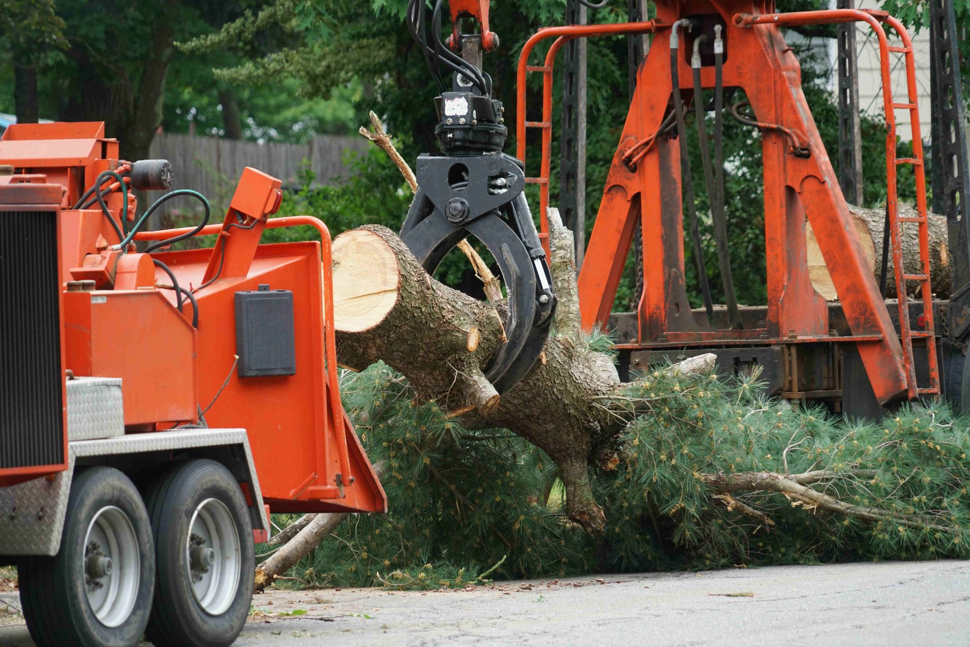 Country Club Tree Service