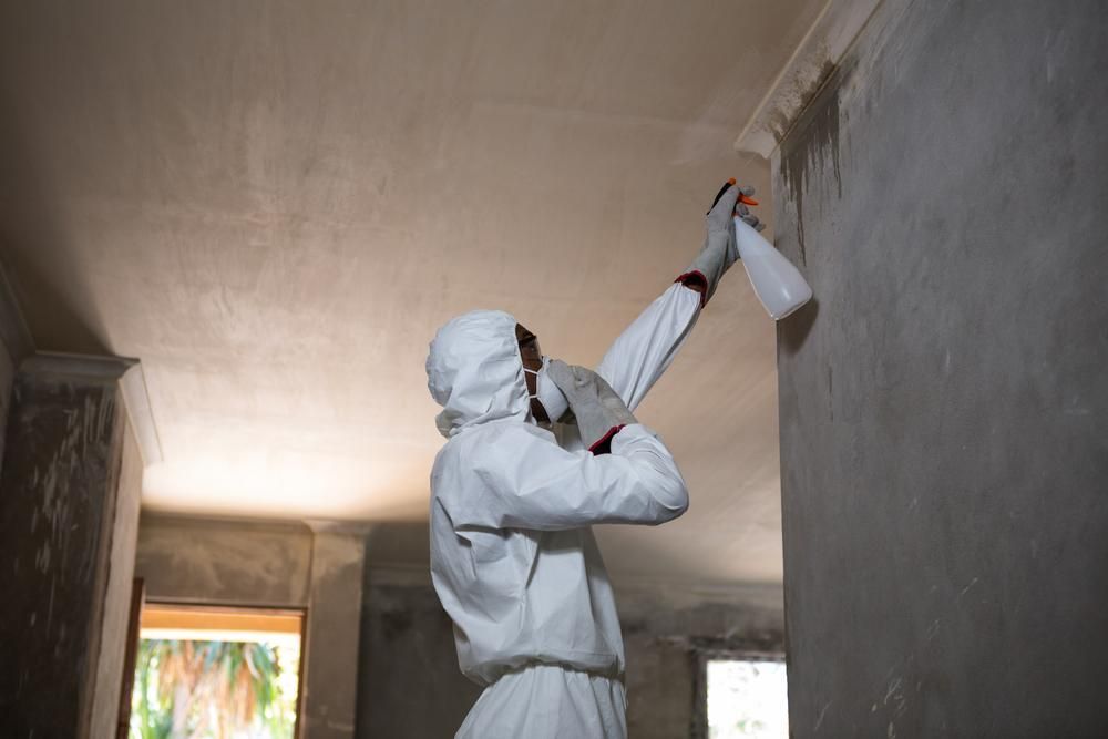 A Man in A Protective Suit Is Spraying a Wall with A Spray Bottle — PDM Pest Control in Craiglie, QLD