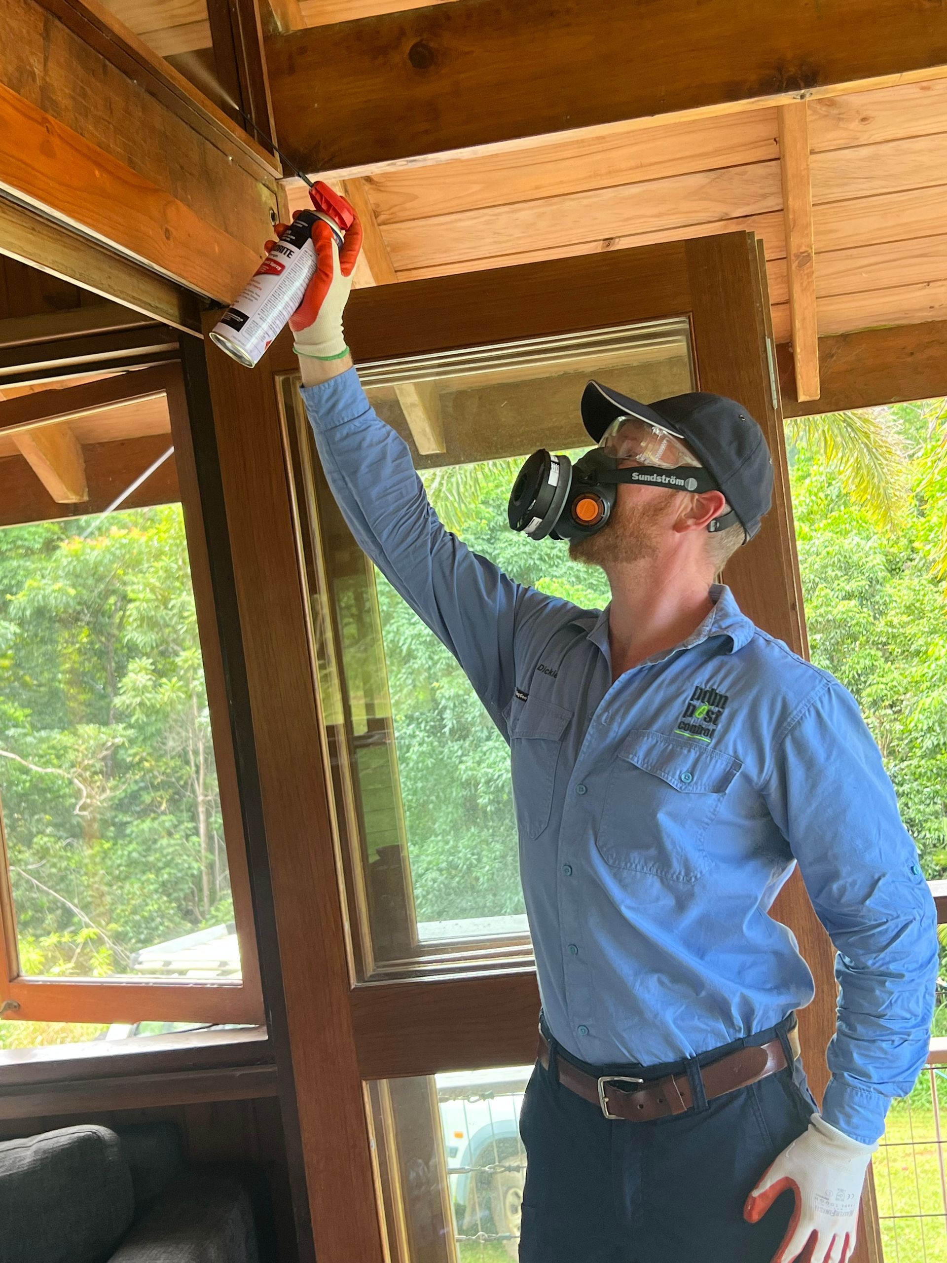 A Man Spraying Inside The House — PDM Pest Control in Craiglie, QLD