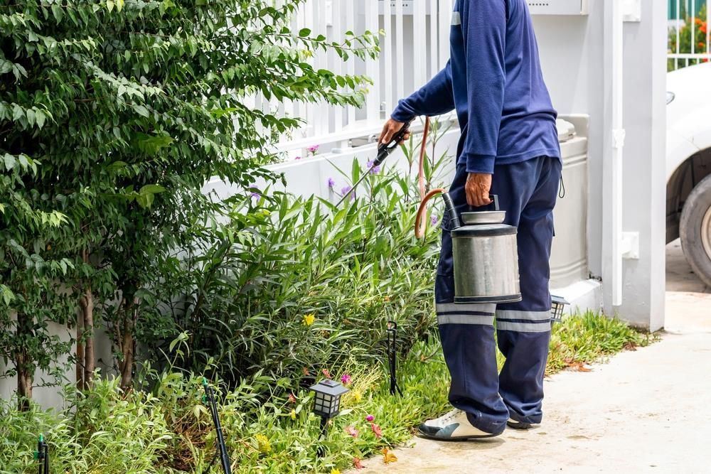 A Man is Spraying Plants in a Garden With a Hose — PDM Pest Control in Craiglie, QLD