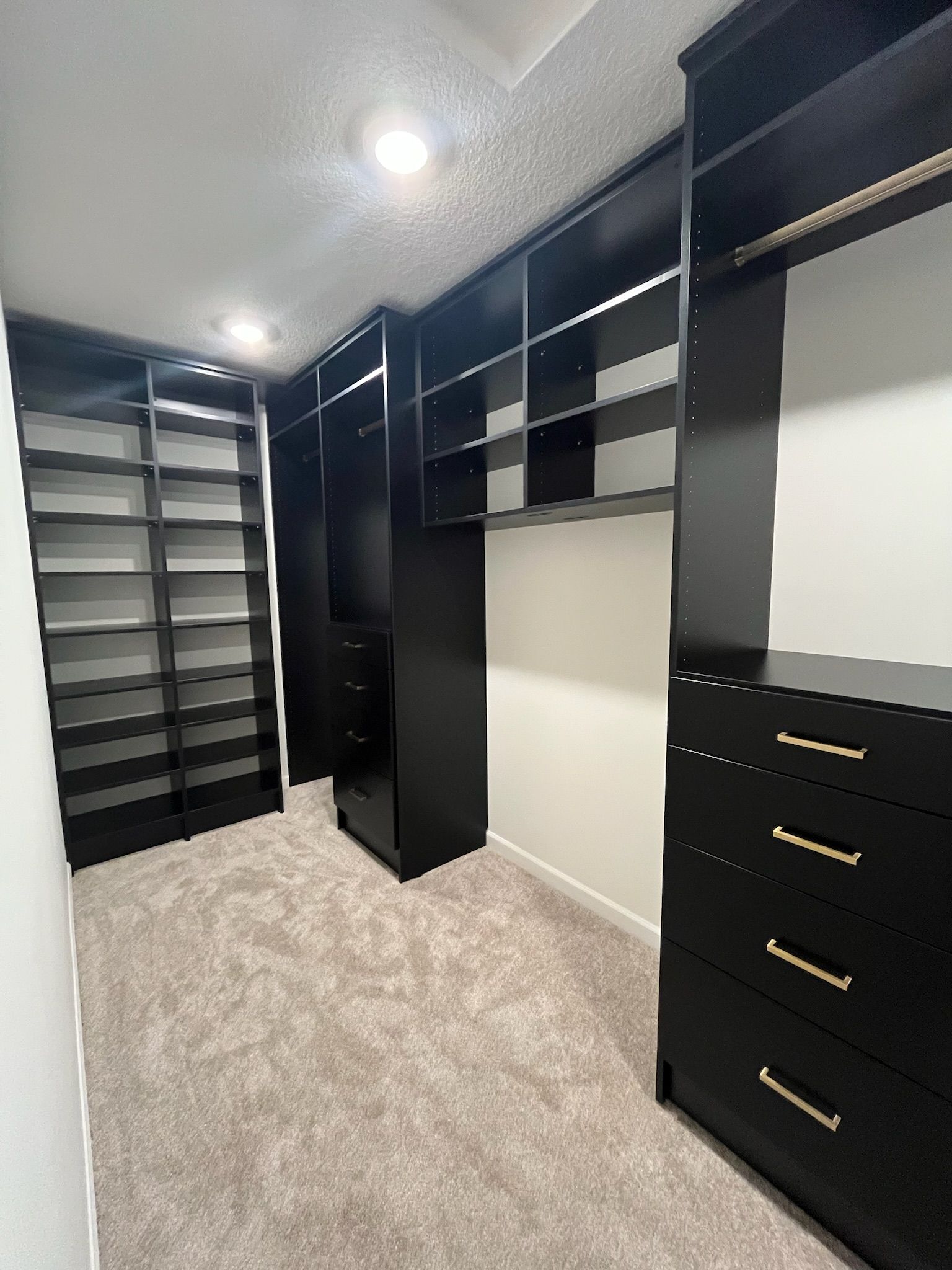 Walk-in closet with dark shelving, black drawers, and beige carpet under recessed lighting