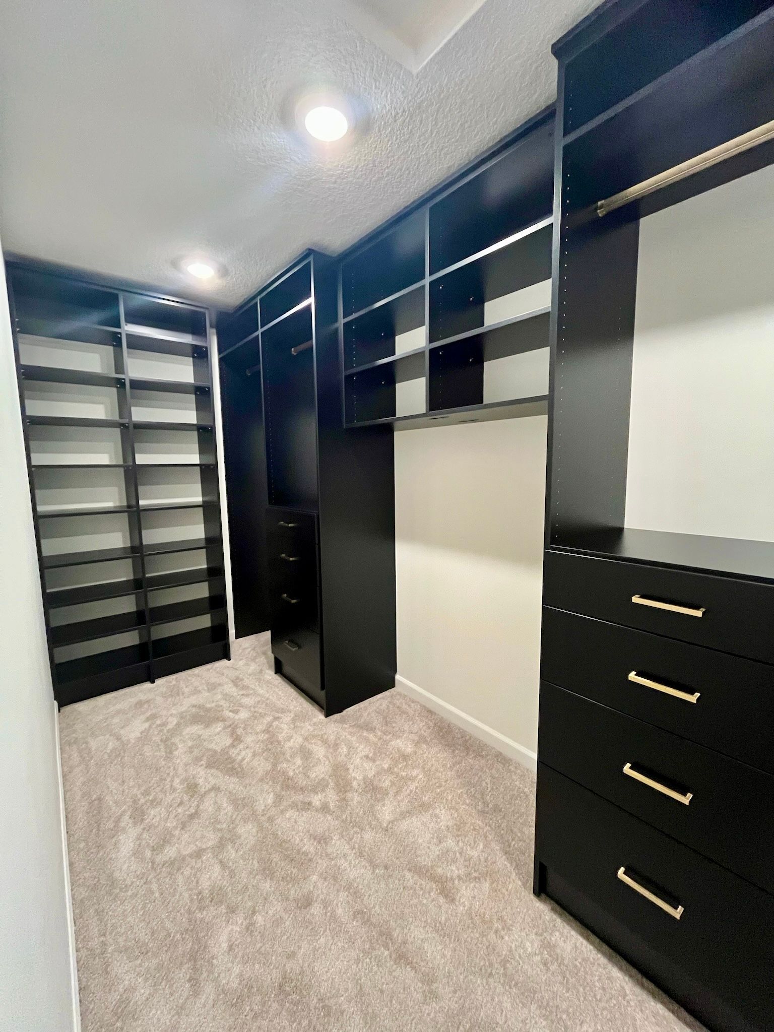 Walk-in closet with black shelving and drawers, white walls, and carpeted floor
