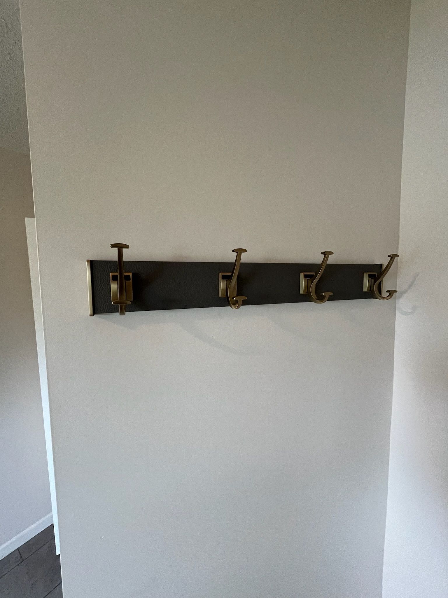 Dark wall-mounted coat rack with brass hooks on a white wall, few hooks visible.