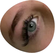 Close-up of a blue eye with long eyelashes and well-defined eyebrow in a circular crop