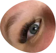 Close-up of a blue eye with long dark lashes and brown eyeshadow, viewed at a slight angle