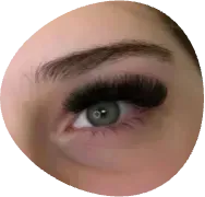 Close-up of a gray eye with long dark eyelashes and shaped eyebrow on a pale face