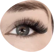 Close-up of a gray eye with long false eyelashes on a white background