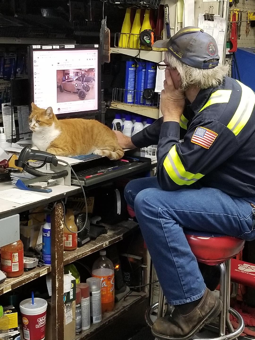 A person in work clothes sits on a stool at a cluttered workbench, watching an orange and white cat sitting on a computer.