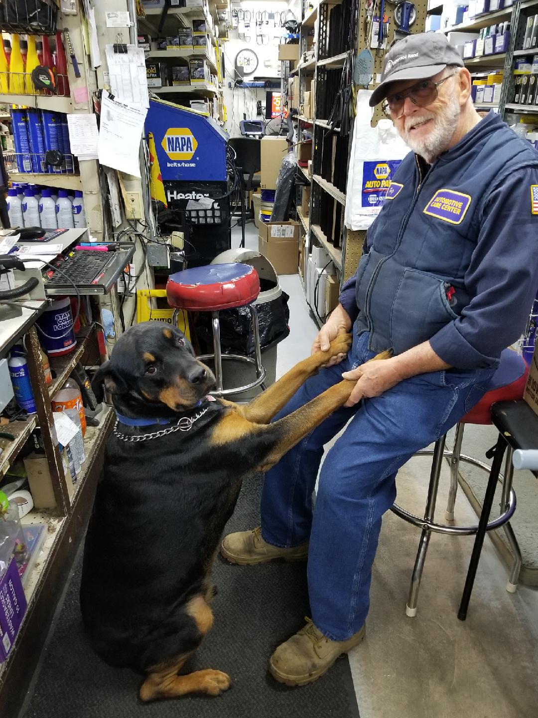 A person in a blue uniform and cap sits on a stool, holding the front paws of a Doberman Pinscher in an auto parts store.