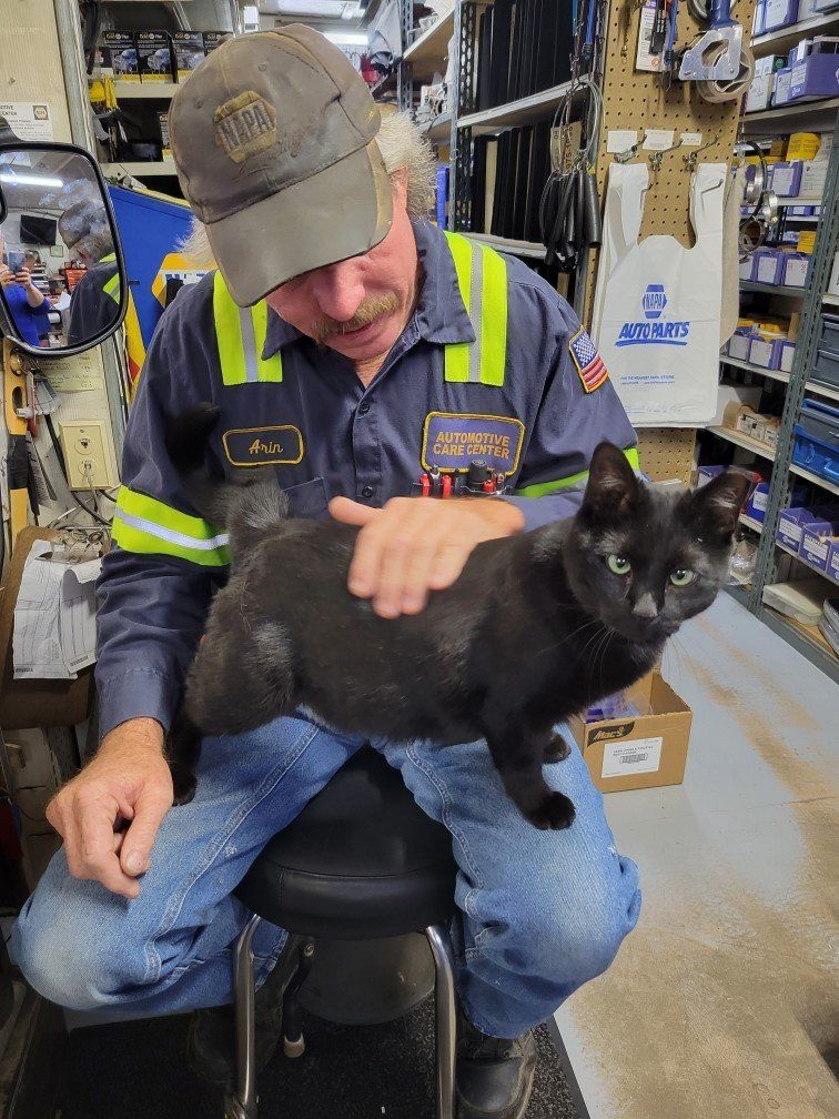 A person in a work uniform sits on a stool, petting a black cat in a cluttered supply room or shop.
