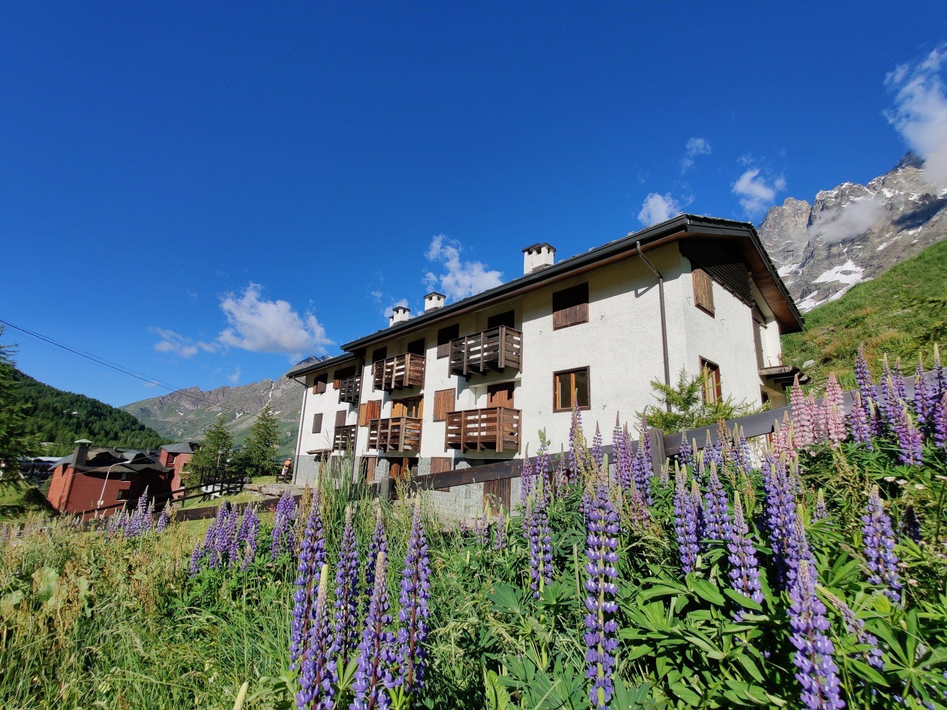 House where Sanny, Bassi and Elena are located in summer. Flowers in the front.