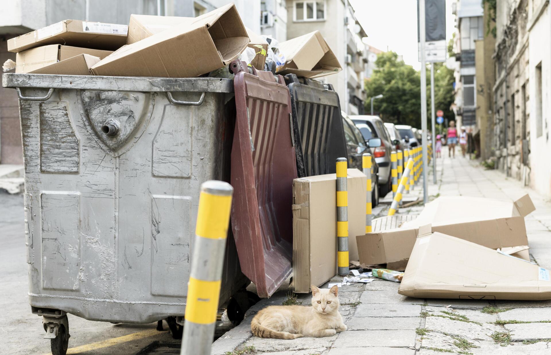 Acumulación de basura Acumulación de basura