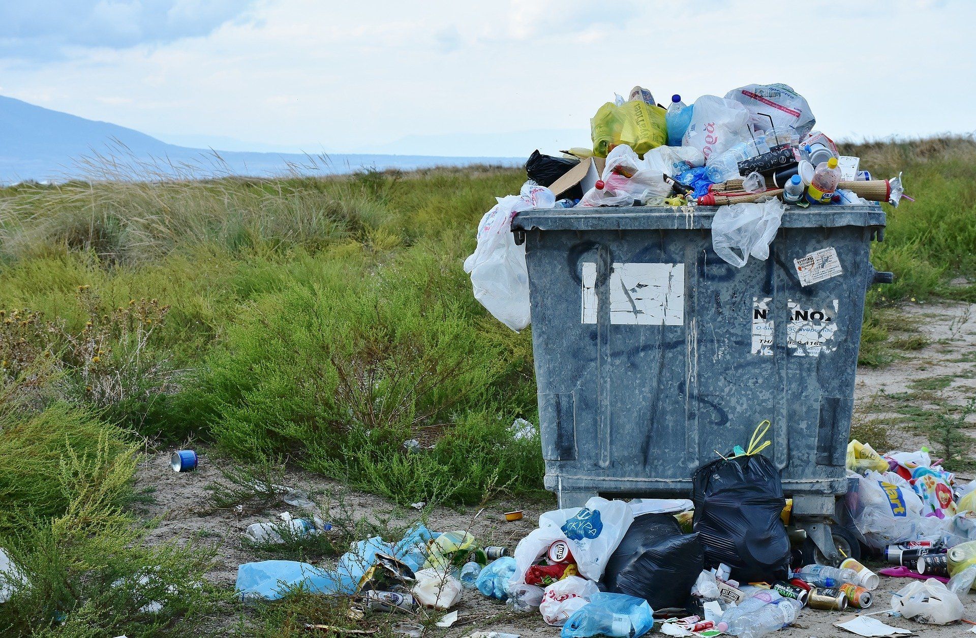 Bote de basura desbordado en área natural América Latina Bote de basura desbordado en área natural América Latina