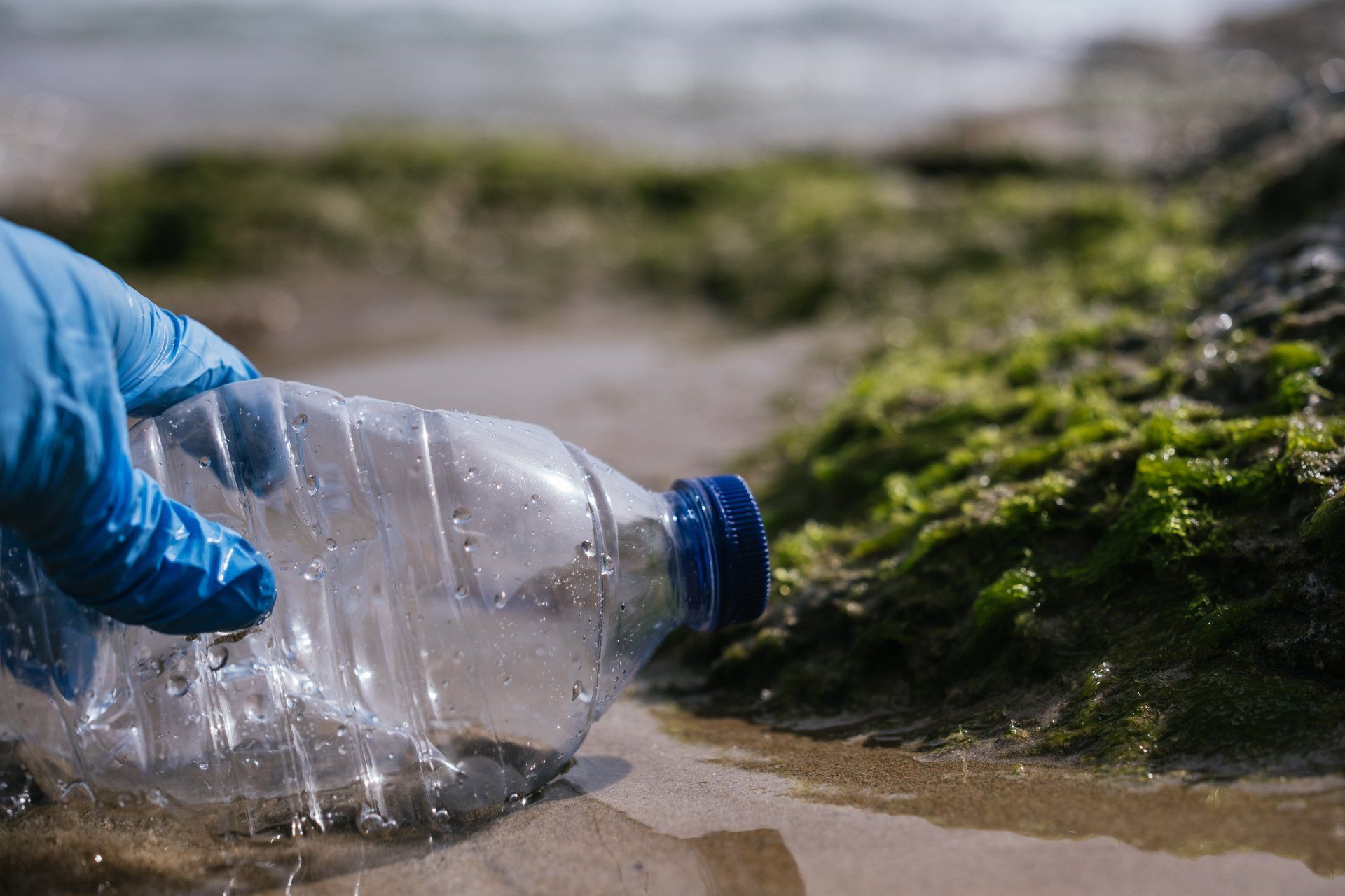 Primer plano de un voluntario irreconocible recogiendo una botella de plástico Primer plano de un voluntario irreconocible recogiendo una botella de plástico