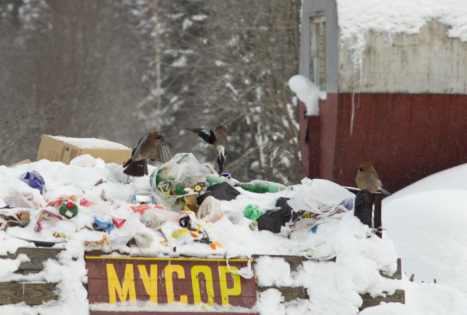 recolección de basura programada en época de invierno