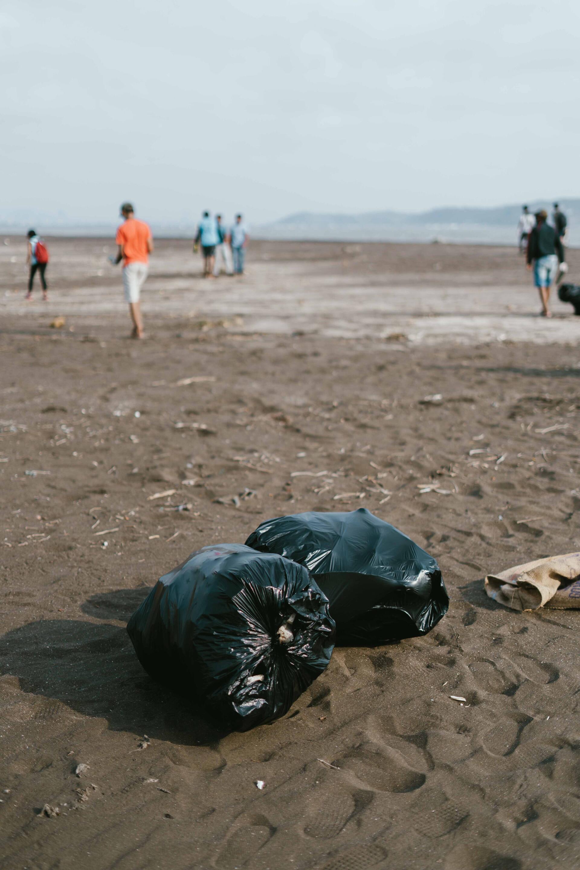 un grupo de personas realizando plogging en la playa un grupo de personas realizando plogging en la playa