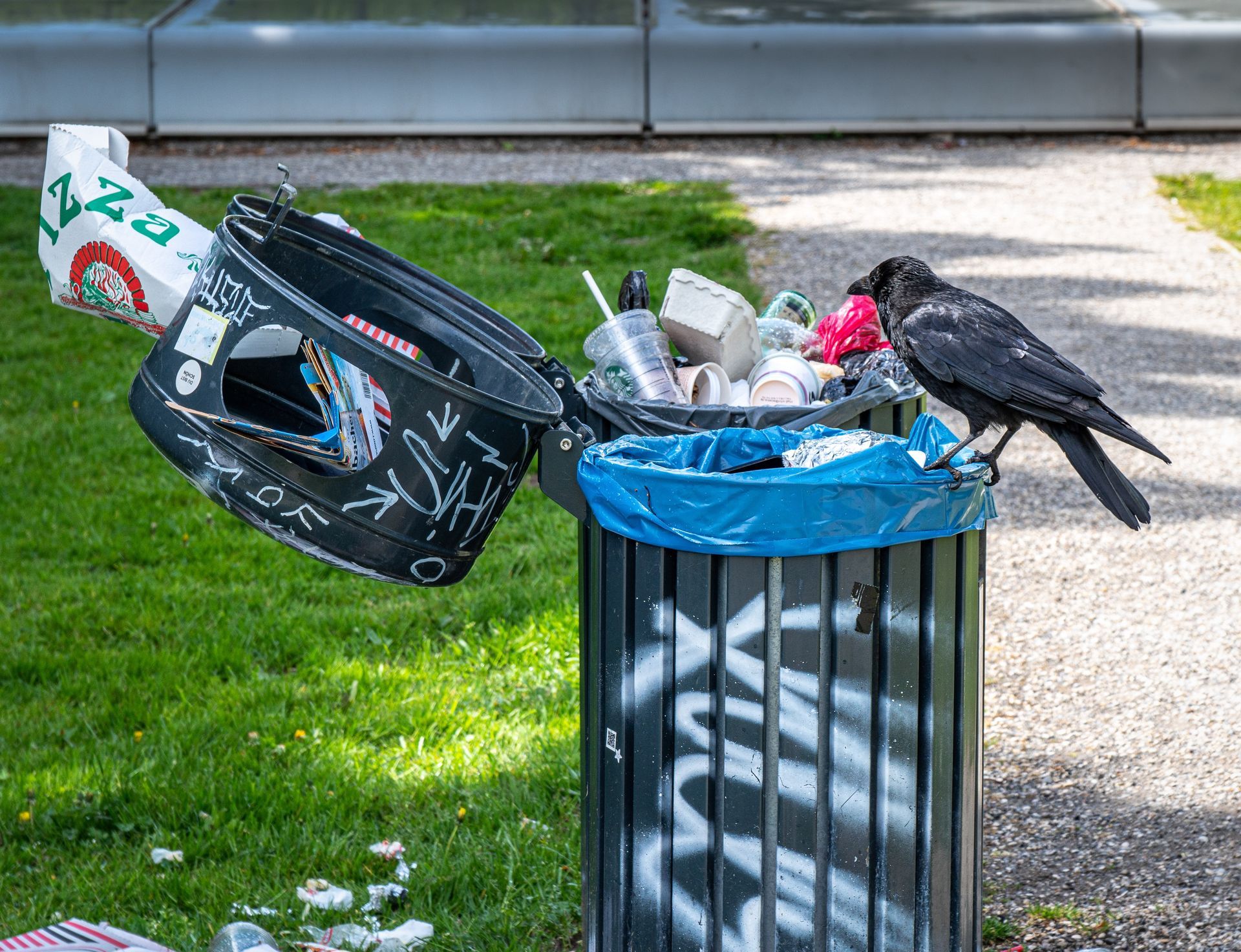 gestión de basura en un parque de la ciudad gestión de basura en un parque de la ciudad
