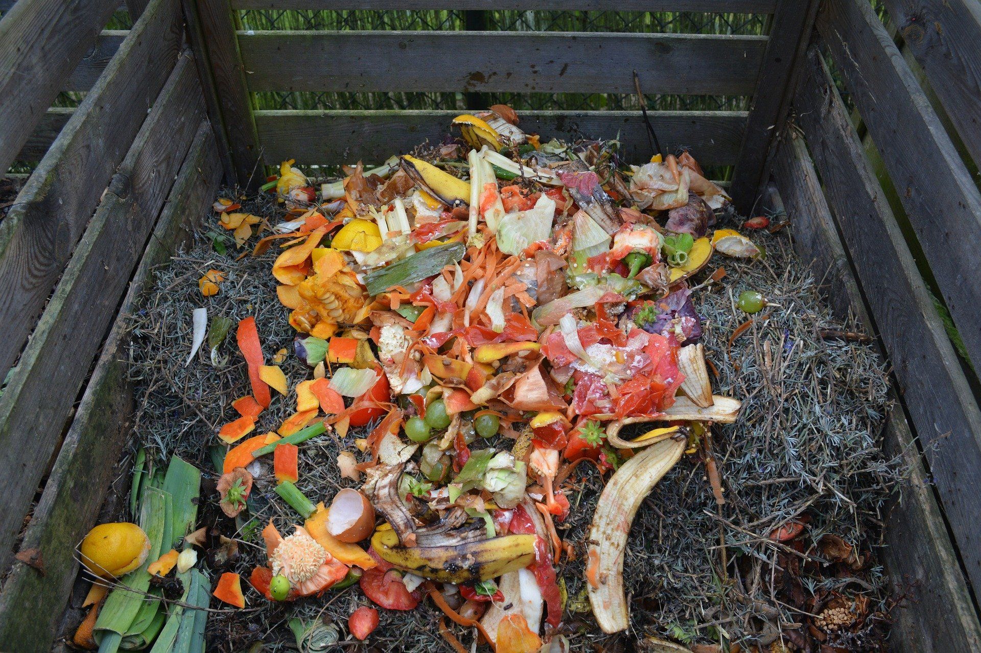 Reciclaje por composta casera Reciclaje por composta casera