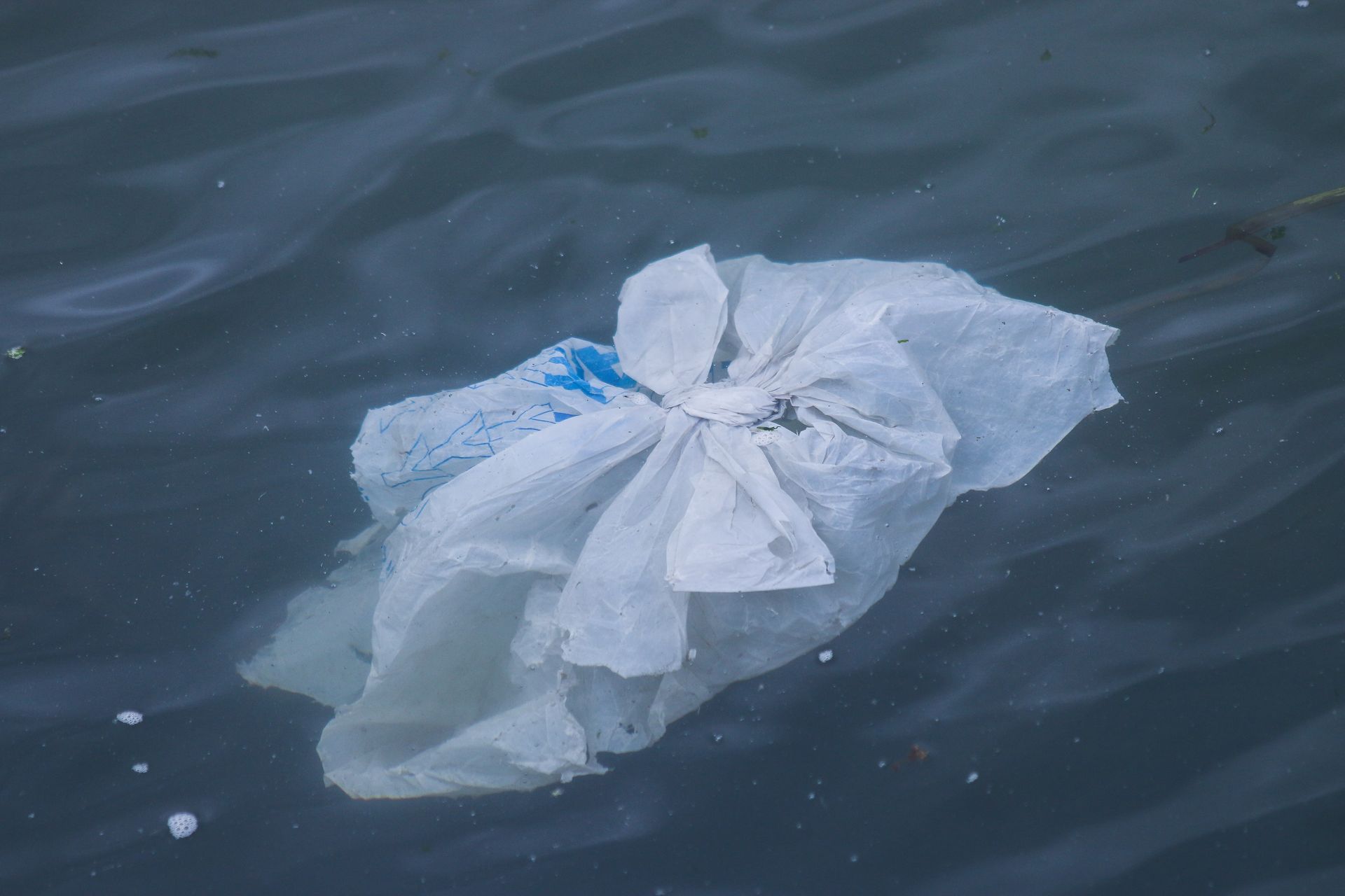 Bolsa de basura contaminando el agua Bolsa de basura contaminando el agua