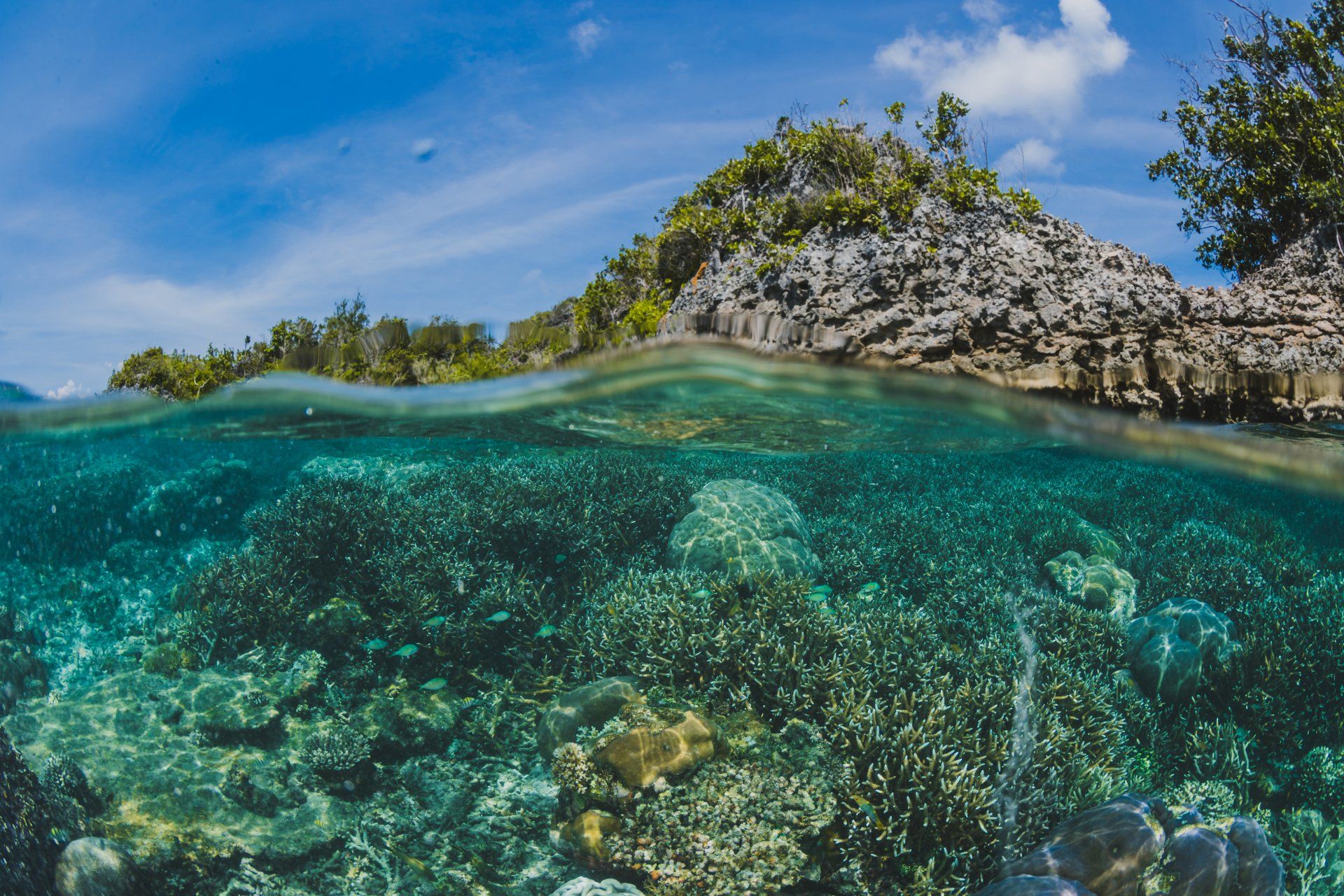 Debajo de la superficie de una isla Debajo de la superficie de una isla