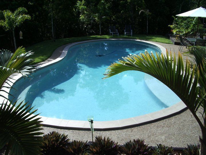 Plants Beside The Pool — Bundaberg, QLD — JJ's Pools & Spas