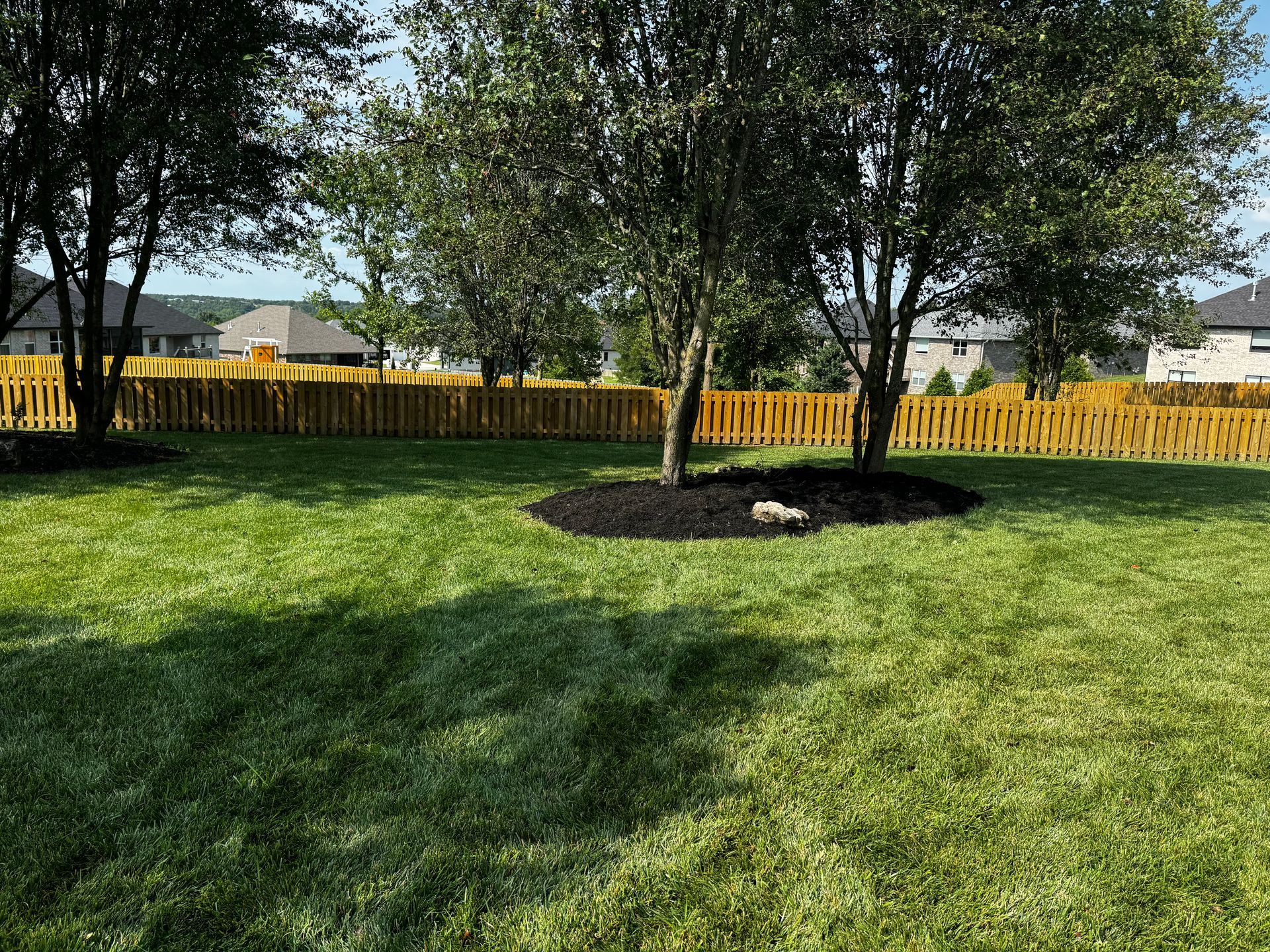A lush green yard with a yellow fence and trees