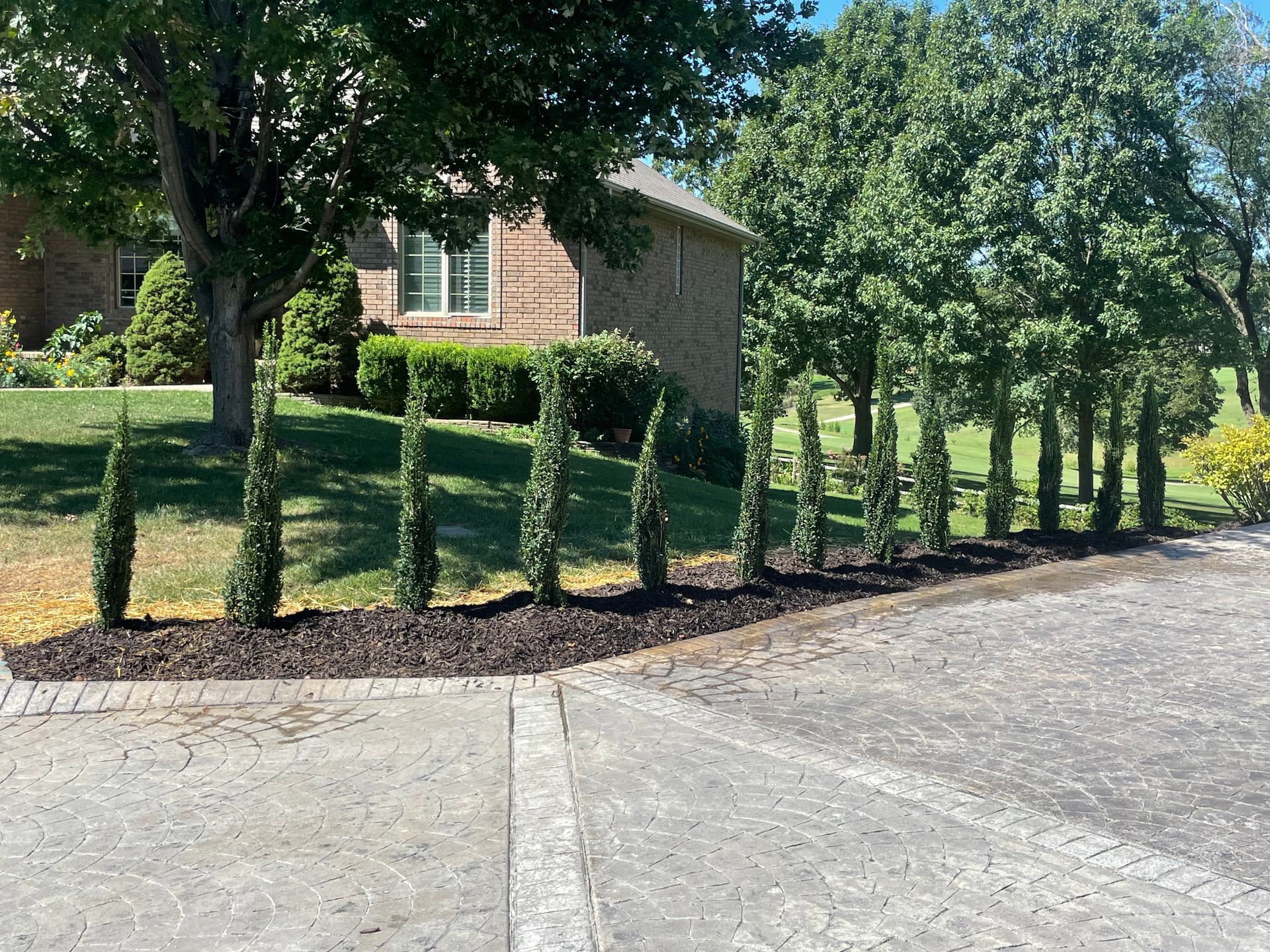 A house with a lot of trees in front of it
