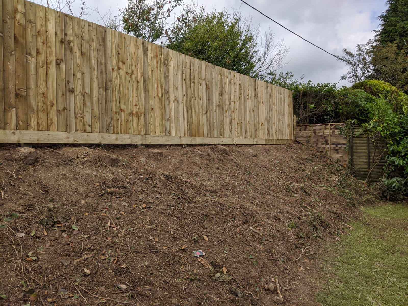 fencing