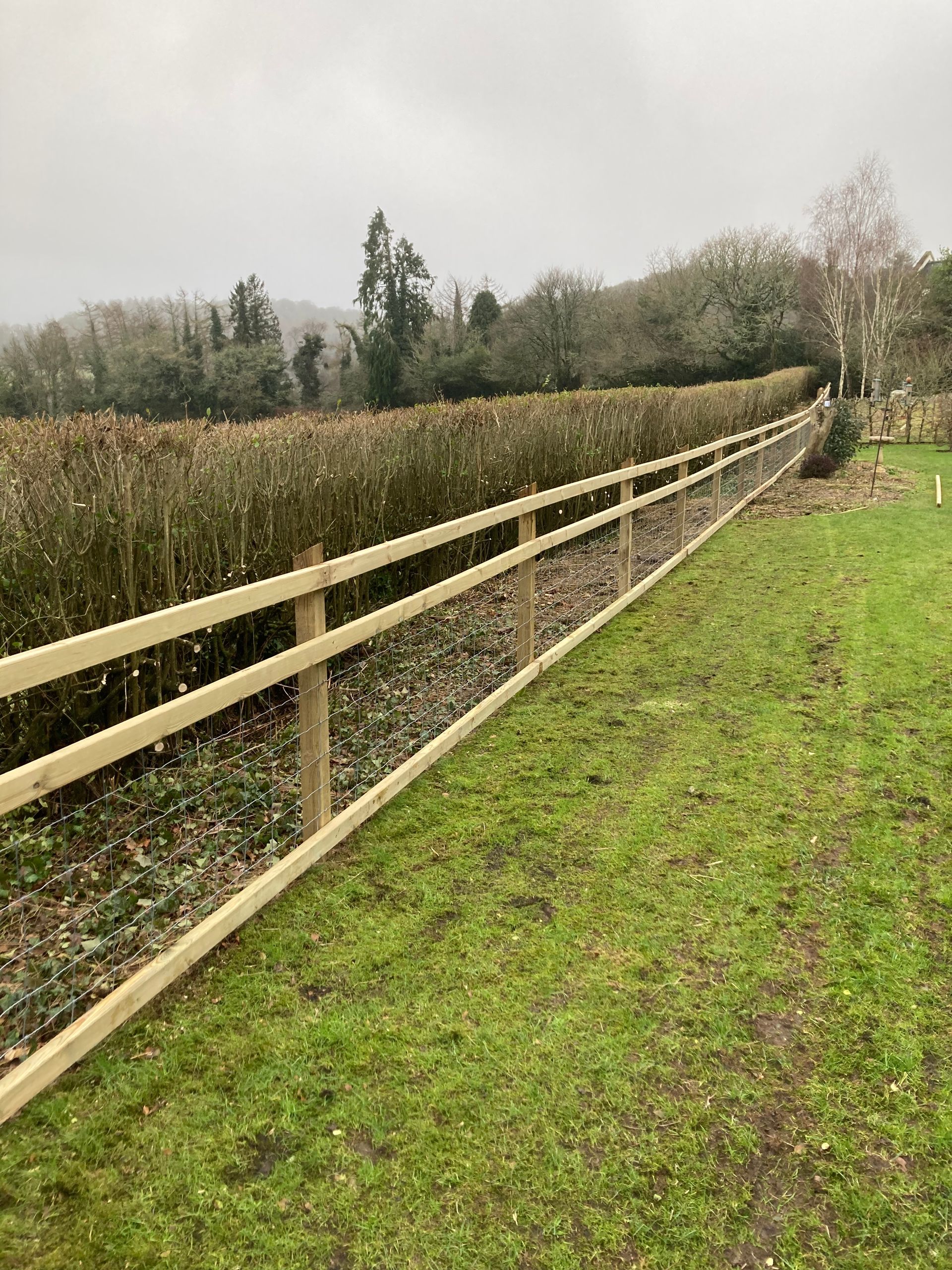 fencing