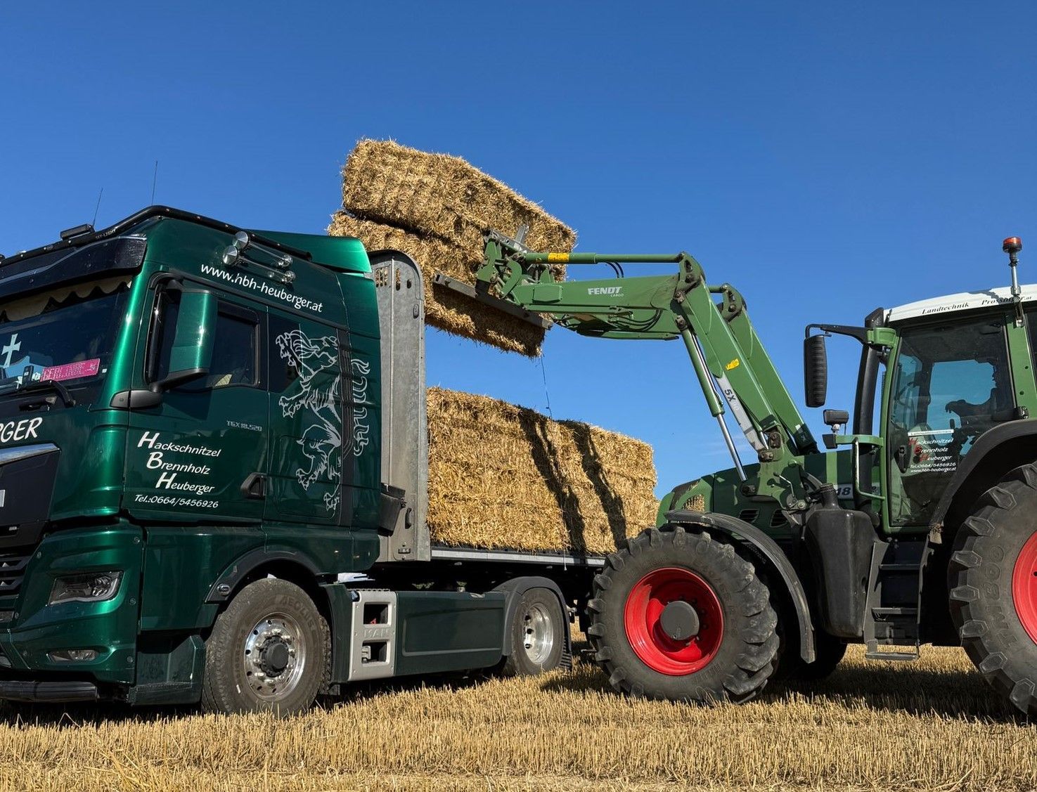 Ein Traktor lädt Heuballen auf einen grünen Lastwagen auf einem abgeernteten Feld unter einem klaren blauen Himmel.