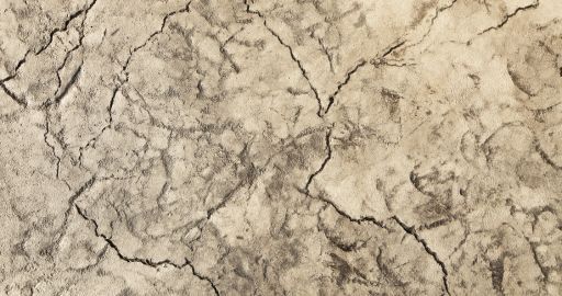 Cracked beige dry mud or earth texture with dark fissures