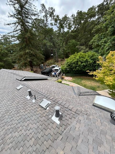 View from a roof, featuring asphalt shingles. Trees and a vehicle are visible in the background.