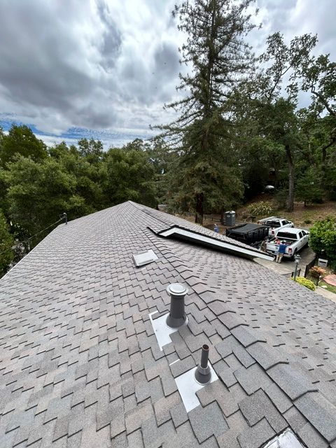 View of a roof with grey shingles, vents, and a partially obscured solar panel; trees in background; overcast sky.