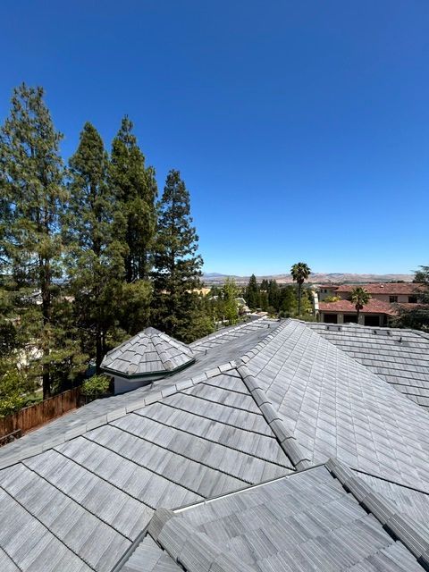 Gray tiled roof with a clear blue sky, tall trees, and a glimpse of a distant cityscape.