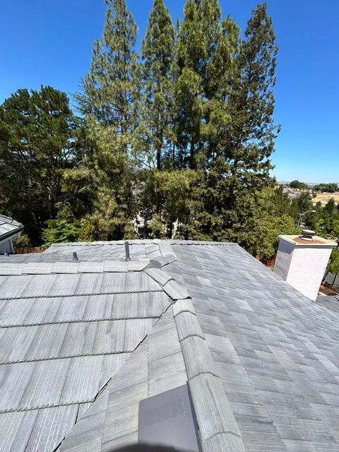 Gray tile roof with trees and blue sky.