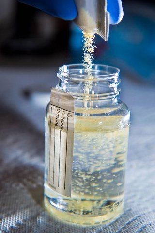 A person is pouring powder into a bottle of liquid. A person is pouring powder into a bottle of liquid.